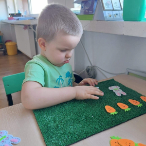 Chłopiec układa zajączki i marchewki