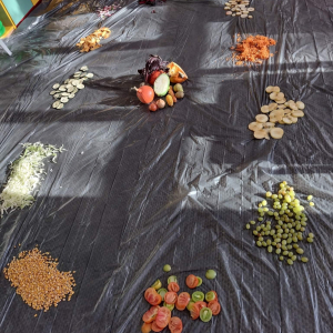 Rozłożone na foli na dywanie pokrojone warzywa