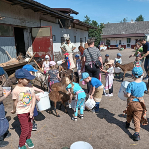 Dzieci karmią zwierzęta