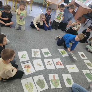 Dzieci wskazują obrazki