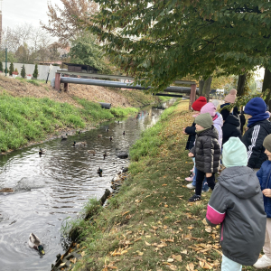 Dzieci karmią kaczki