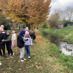 Dzieci karmią kaczki