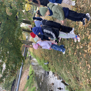 Dzieci karmią kaczki