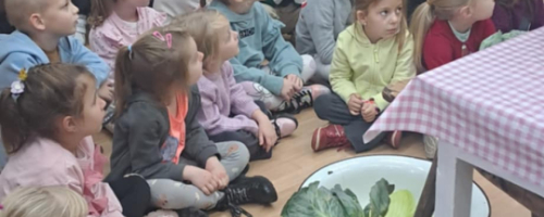 KRASNOLUDKI I JAGÓDKI W MUZEUM