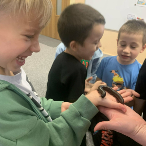 Dziecko trzyma krocionoga