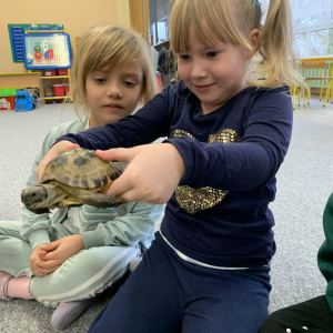 Dziecko trzyma żółwia
