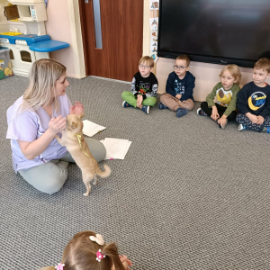 Pani opowiada o psach