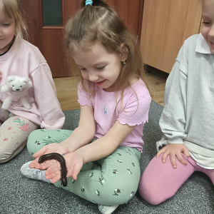 Dziecko trzyma krocionoga