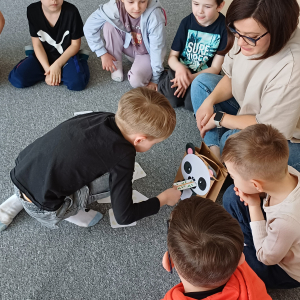 Chłopiec za poprawne wykonanie zadania karmi pande