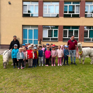 Zdjęcie grupowe dzieci z alpakami