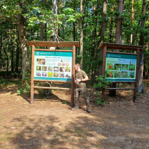 Pan Leśnik opowiada o grzybach występujących w tym lesie