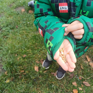 Dziecko trzyma pokarm dla ptaszków