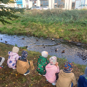 „Chwila uważności – dokarmiamy kaczki nad rzeką.”