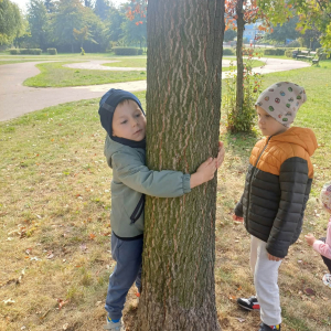 „Porównujemy pnie: chude, grube i pośrednie. Matematyka w terenie!”