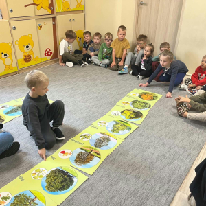 Dzieci siedzą w kole, na dywanie leżą obrazki przedstawiające drzewa, ich owoce, liście i ciekawostki o nich. Dzieci poznają ciekawostki o drzewach