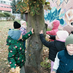 Dzieci poznają drzewo za pomocą dotyku.
