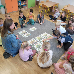 Dzieci siedzą w kole, na dywanie leżą obrazki przedstawiające drzewa, ich owoce, liście i ciekawostki o nich. Dzieci poznają ciekawostki o drzewach